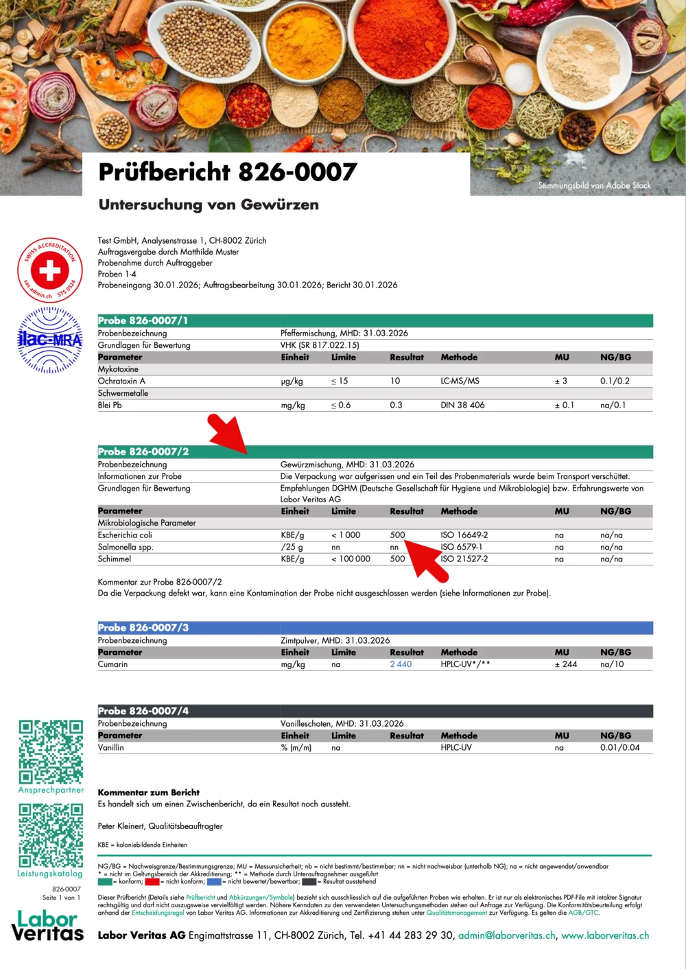 manipulierter Prüfbericht (manipuliertes PDF-File) 
